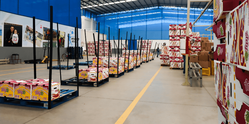 Maraco-Productora-y-Comercializadora-1000x500-8